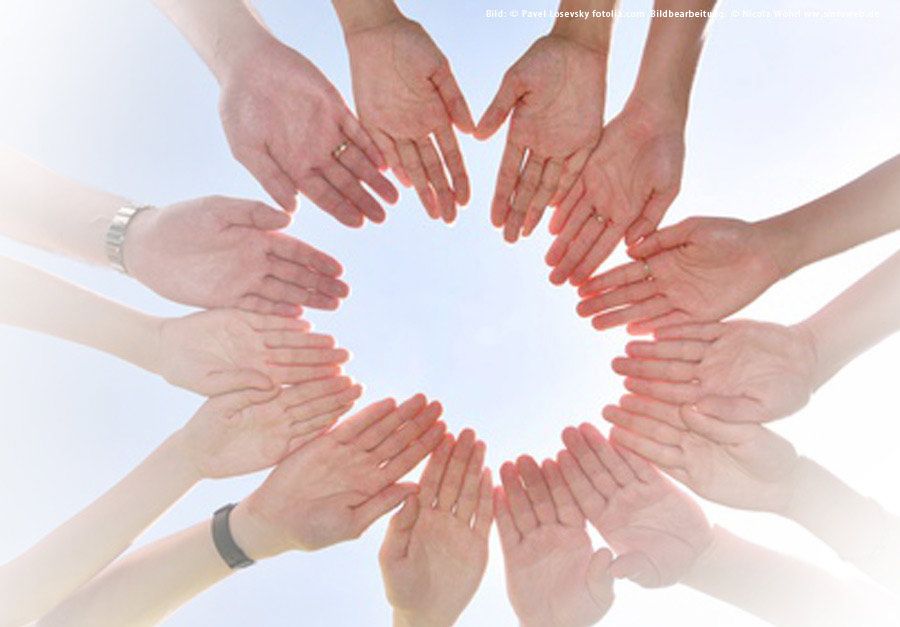 Dental Innovation Professionals, Portrait